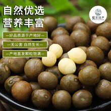 ���L�������rҰ���u�^�������u�^�״Č������صȮa��ֱ�l���]