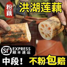 ���ں����ź�����خaɏź�Ҝ��������r��źŴ��ź�ſ�ɏź�t�F��