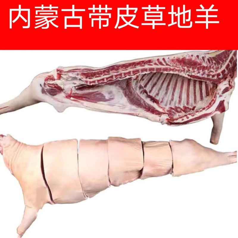 羊排内蒙古清真羊肉带皮羊后腿新鲜冷冻半只生羊前腿脊骨羊肉块