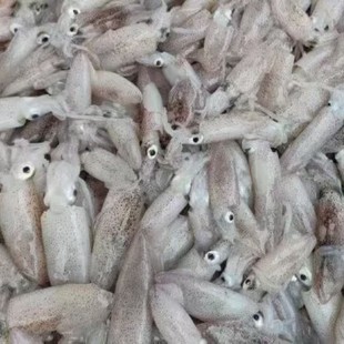 ���СС�r���~СС�r���~С���~ȥ���K�Sɳ���rˮ�a400g/��