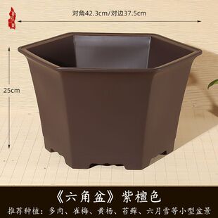 ��̖�����辰��Ӻ�͸�����ɰ�������S��ȸ÷����ѩ����Gֲ����