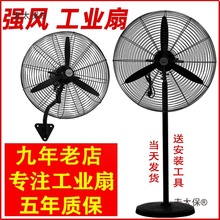 ILȏȴLţȴʙCеu^S̫