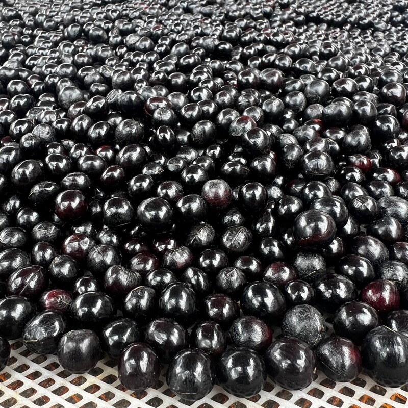 Original Ecological Black Bodhi Soapberry Bodhi Beads 108 DIY Accessories Kilogram for Sale Loose Beads