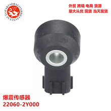 22060-2Y000 22060-2A000 13676440 22060 2A000