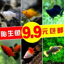 ̥���~���w�^�p�~�ڬ����~Ƥ���~���w�����~�¹��~�Ꭷ��ˮ�����~