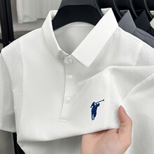 �ļ�����polo���ٴ�ʱ��͸���������� ����T�����촿ɫ��������