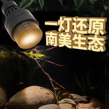 南美缸射灯 鱼缸造景照明专用灯变焦led防水超亮夹灯水草雷龙原生