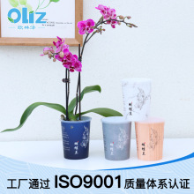 �W�֝ɏS�����l����ˮ���K��B03�����m����2.8������m�Nֲ��