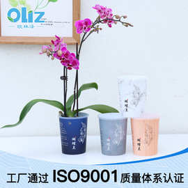 欧林泽厂家批发自吸水棉绳盆B03蝴蝶兰花盆2.8寸蝴蝶兰种植盆