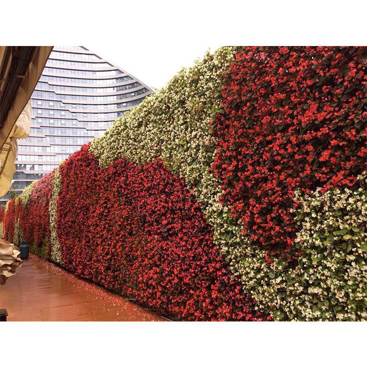 Venta directa de fábrica, simulación, pared de flores, tienda de té con leche, restaurante, fondo de fotos, red, pared roja, pared de fondo de flores perpetuas, entrega de productos terminados