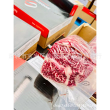 ����203��̴���ţԭ��������ţ�� ����ѩ�������տ�M9����ţ����