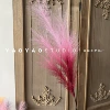 5 prongs gradient reed rose red (80cm)
