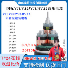 ���� ����YJLV22�Xо����|��10KV 26/35KV��3оX 240 ƽ������