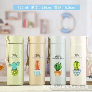 Succulent Cup Glass Mug Small Gift Double-Layer Water Cup for Home and Commercial Use Promotional Gift Cup Tea Cup Double-Layer Glass Cup