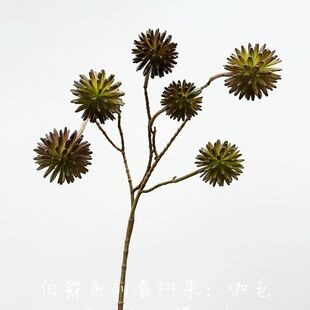��ɫ �������ϲ���ɣ�� �Gֲ�쾰�廨��ļҾӻ�ˇ�b���
