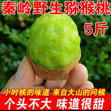 �؎Xɽ�^��Ұ�����J�������r�Fժ5���ЋDˮ���殐���G�īJ������