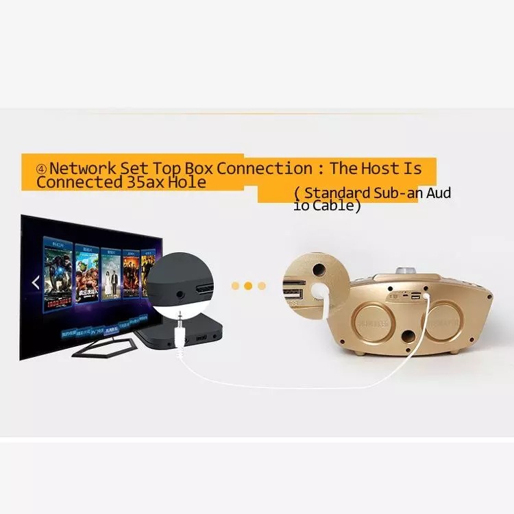 Machine de karaoké sans fil avec enceinte bluetooth et micros_voghion.com