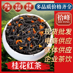 �𻨼t�� ������2026�²�����С�N�t����~ɢ�b���S���l���l�S��