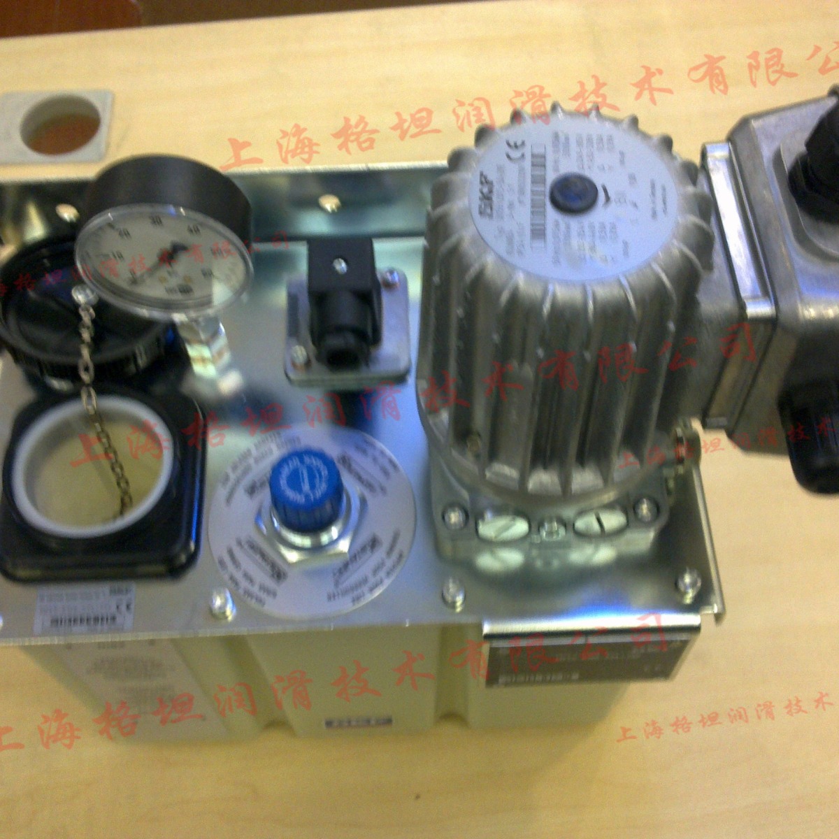 【官方授权】SKF VOGEL /褔鸟/MFE5-KW6-S24+29E电动齿轮润滑油泵