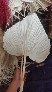 Ư�������~�ɻ���������Y�b�ˇ��ꐙ����b��Ĕz����DIY�b��