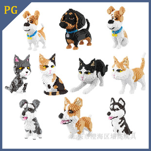 ���ݘ���΢�w���eľ���ﹷ؈��ƴ�bģ�͔[����ͯ����������l�羳