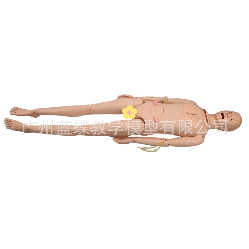 ҽѧģ����ģ�Ͷ๦�ܻ�������ģ�ػ�����ѵ������Ƥ�����ķθ���