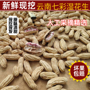 2024�^������߲ʻ������ͻ�����������l���lˮ������