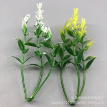 �S�����l����ֲ�ﺣ�R��ֲ��廨������ϲ���ˮ���bݷ���ֲ��