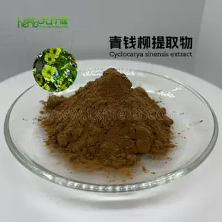 青钱柳提取物 青钱柳黄酮 青钱柳粉 天行健生物 SC厂 常年现货