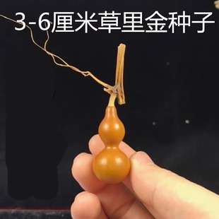 ����С���J�N���ļ����N΢��С���J����С�����F������J�N������