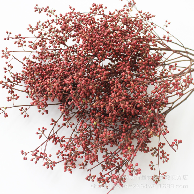 Xiaomi dried flower flower Nordic wind Yunnan natural plant dried…