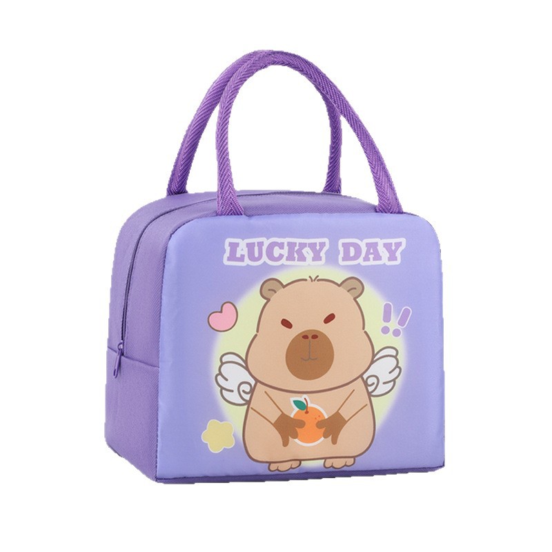 Bolsa de almuerzo infantil de dibujos animados bolsa de almuerzo portátil bolsa de almuerzo aislante de calor bolsa de almuerzo lindo bolsa de almuerzo al trabajo y la escuela estudiantes con bolsa de almuerzo