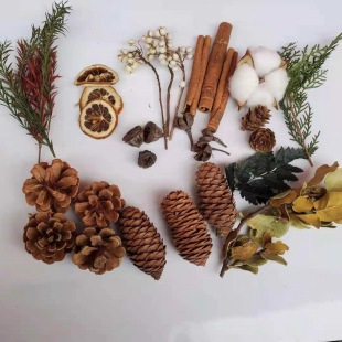 ֲ���ֹ��ɹ�DIYɭϵ ��޹Ϟ�T�}�Q�b������ɻ��Ą����ϰ�