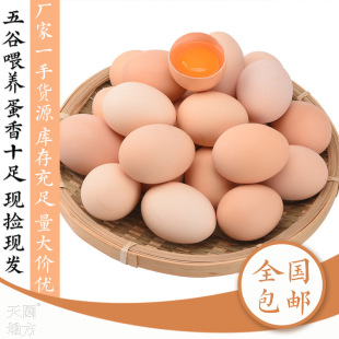 ɢ�B���u�����l���]���r�r��Ұ�������ЋD�����u���x�ݱ��u��