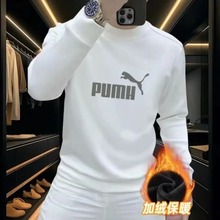 冬款白色卫衣男大牌豹子厚款上衣2024新款欧洲站轻奢圆领上衣男装