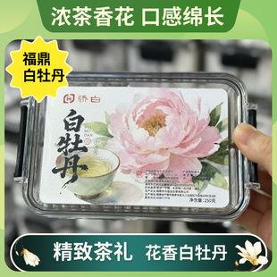 �ϰײ踣����ĵ���^�ɻ������ײ���~�Y���bС��Ƭ��ڼZ�����l