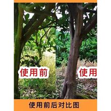 ���I��������̦��÷��Ƥ�����M����������̦ȥ��̦ȥ���