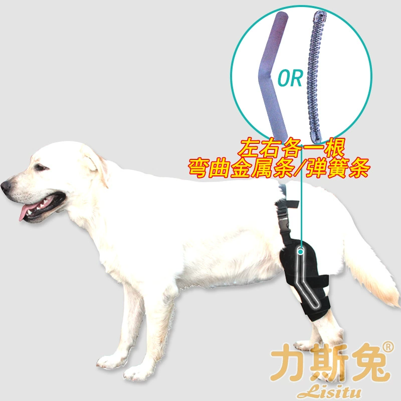 Собака колена опора крестообразная связка вывих коленной чашечки фиксация ремни для защиты задней ноги после перелома Тедди