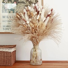 СJȔɻ˹bYbҾә[JȔɻ