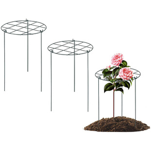 Factory Plant Climbing Frame Hydrangea Peony Flower Stand Creative Climbing Vine Flower Stand Gardening Green Plant Support Frame Fixed Rod