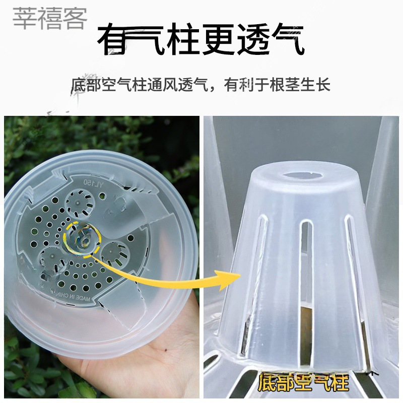 新商品の貯水透明青山盆は吸水しています。|undefined