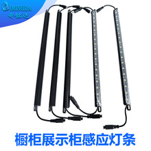 �羳��������׼��͉�LED���l��ʽ���k��չʾ�����U��������