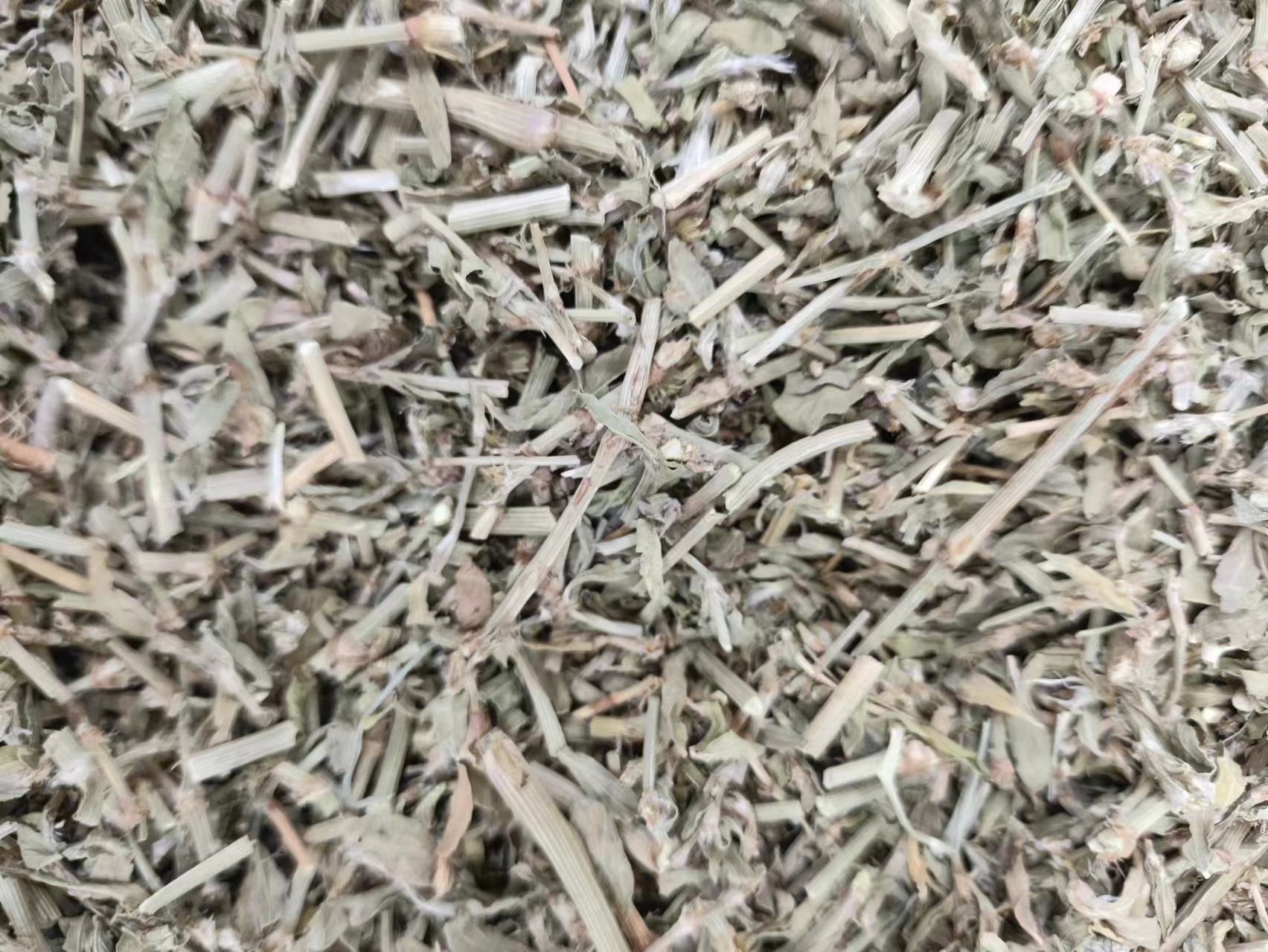 Bian Xu (Polygonum aviculare) — Dried Aerial Herb, Food-Herb for Tea & Decoction specifications