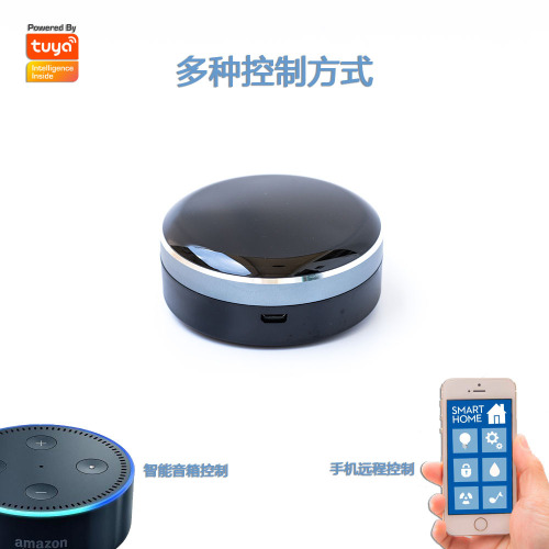 Doodle Smart Dual-WiF Infrared + RF433 + 315MHz Voice Remote Control