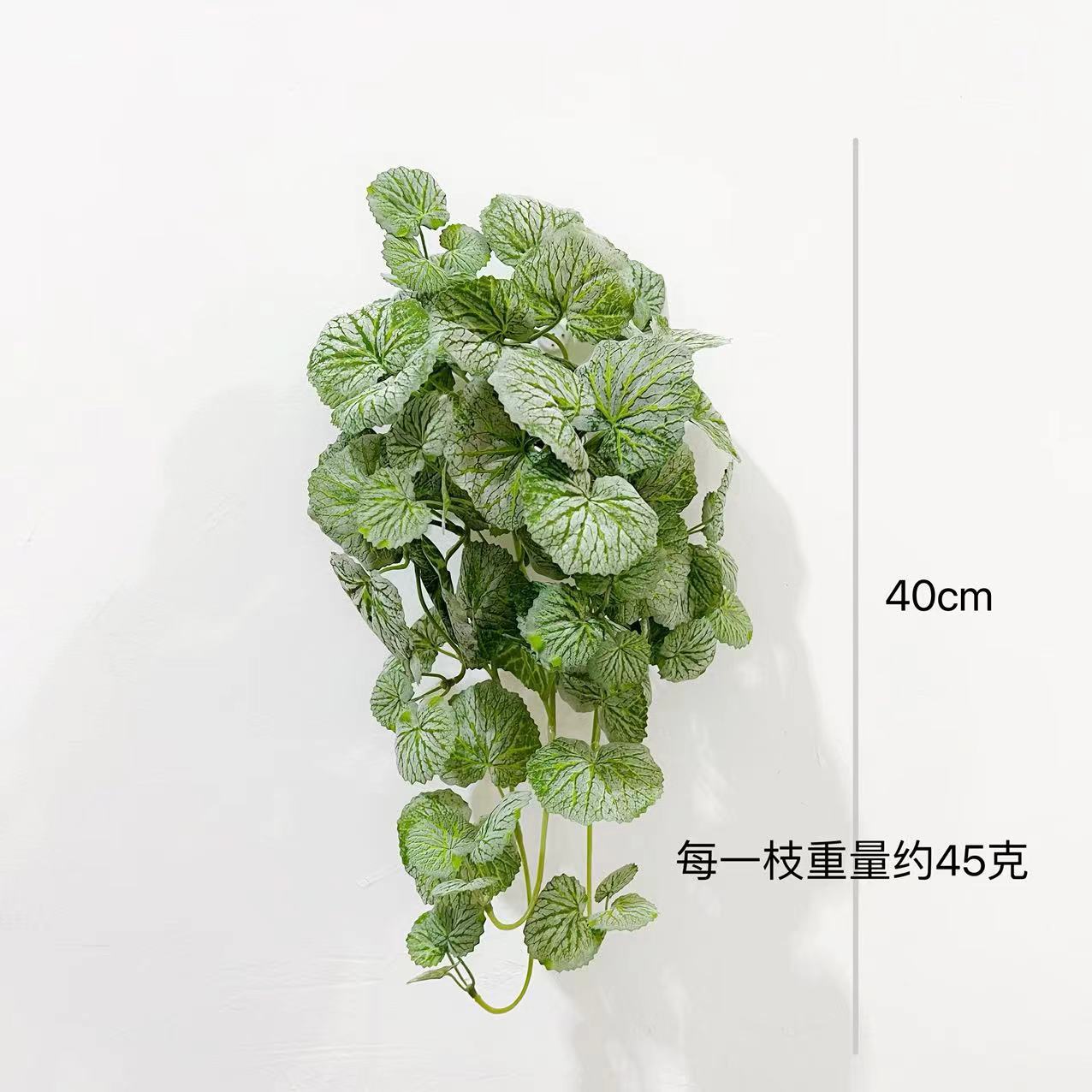 40cm 베고니아 벽 매달려 [녹색]]
