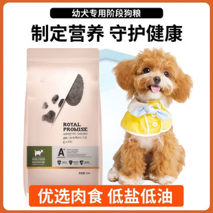 ��Ȯ��Ȯ���Zͨ�üZ��ë̩�ϱ���߅�������cθ�në�a�}��Ȼ�Z