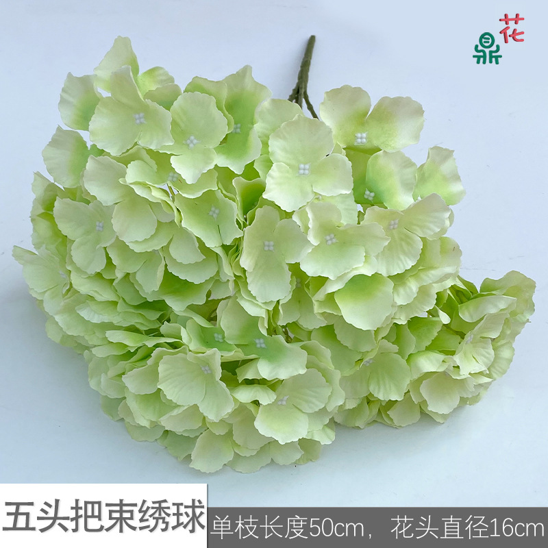 Five -headed hosem LS green