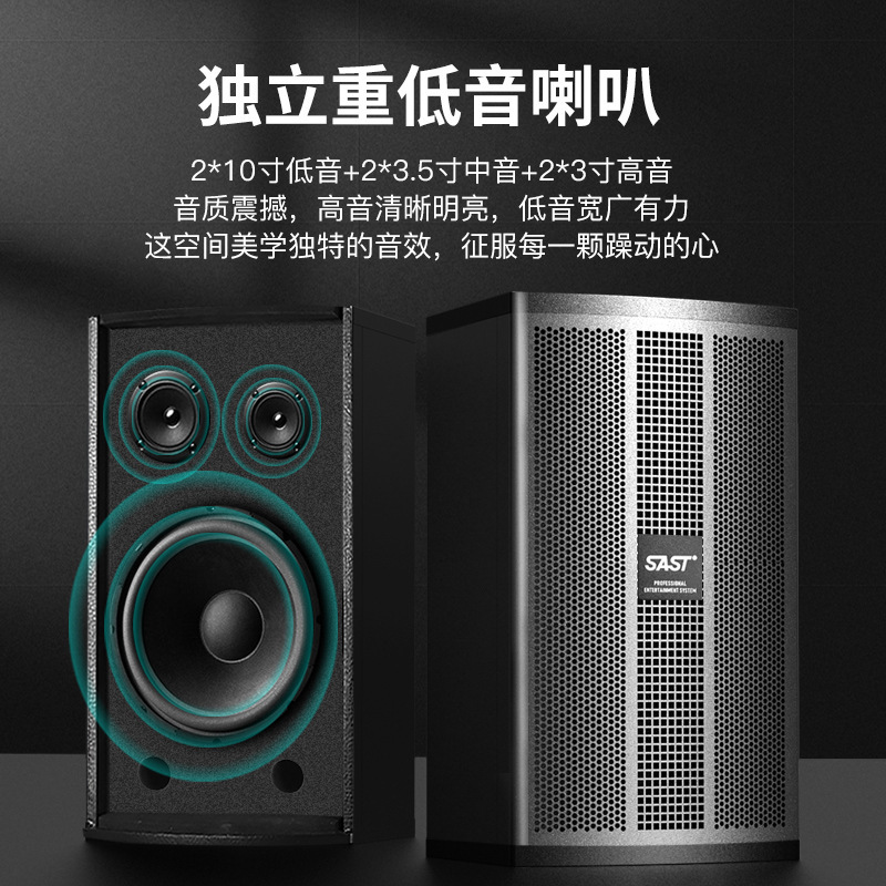 先科家庭ktv音响套装卡拉ok机家用全套k歌音箱影院会议点歌机设备|undefined