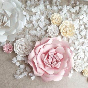 ����Ժ���w��Ʒ�������b���c�����̈���Ӡ������ՙ��������b�