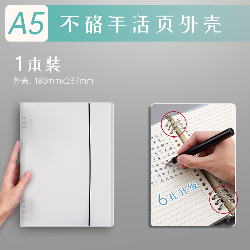 1 A5 case